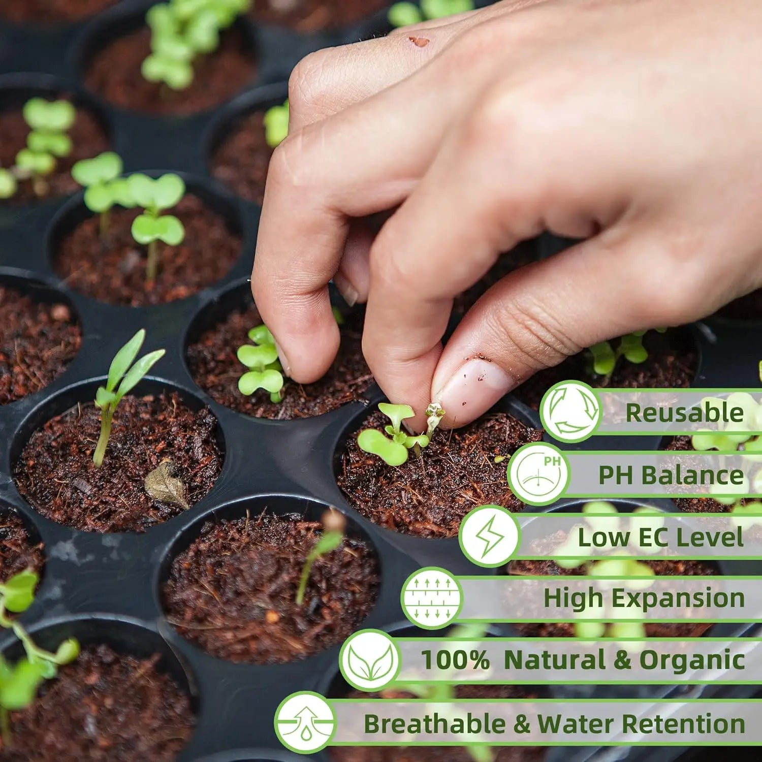 Coco Coir Brick for Plants- 4 Pack Premium 100% Organic Peat Moss, Fiber Coconut Husk for Planting, Gardening