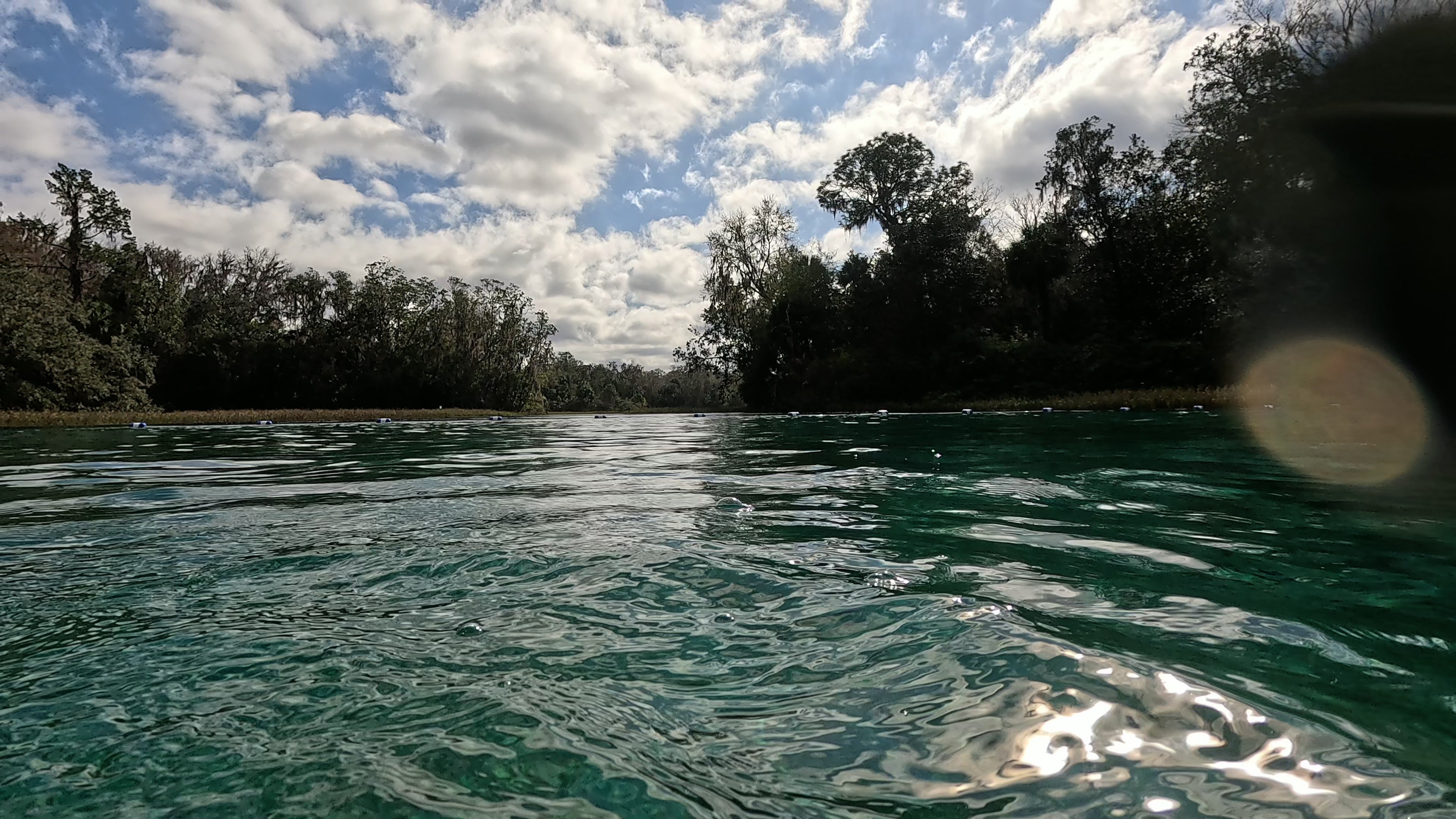 Riverside scene with trees and a clear sky

