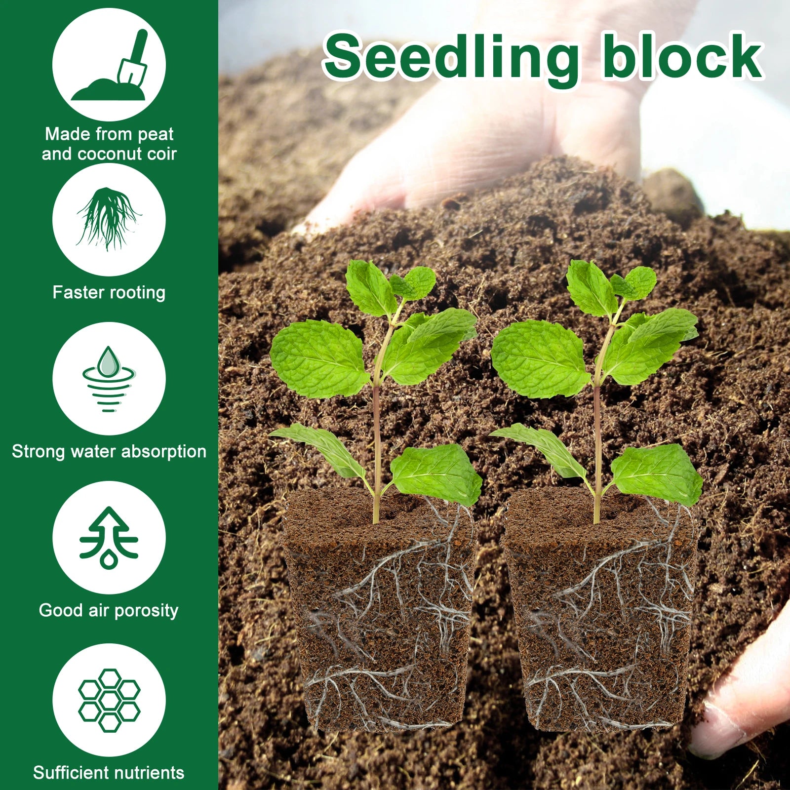 50Pcs Grow Sponges Hydroponic Starter Plugs Gardening Seed Starter Sponges Slant Incision Sowing and Cutting Substrate Block