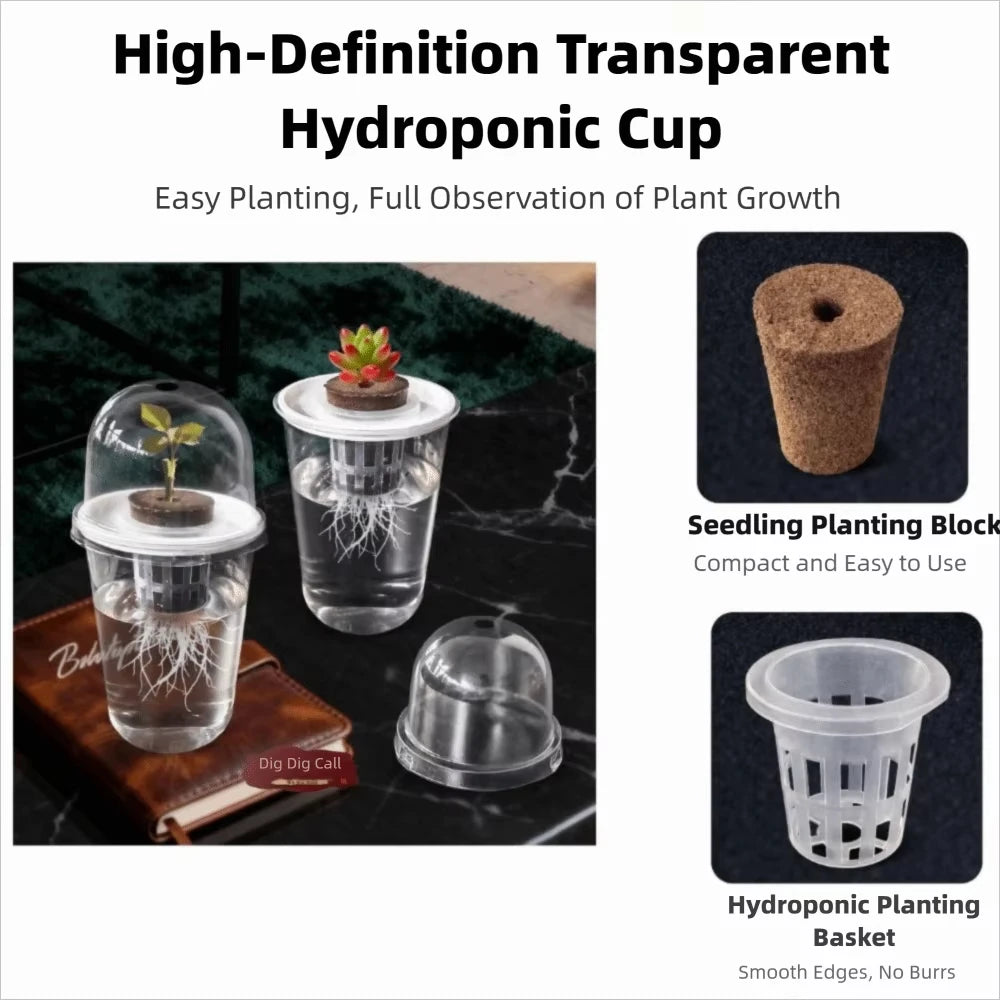Plastic Material Hydroponic Seed Planter Pots Reusable Durable Seedling Baskets Transparent Root View Cups Succulents Growing