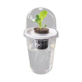 Plastic Material Hydroponic Seed Planter Pots Reusable Durable Seedling Baskets Transparent Root View Cups Succulents Growing