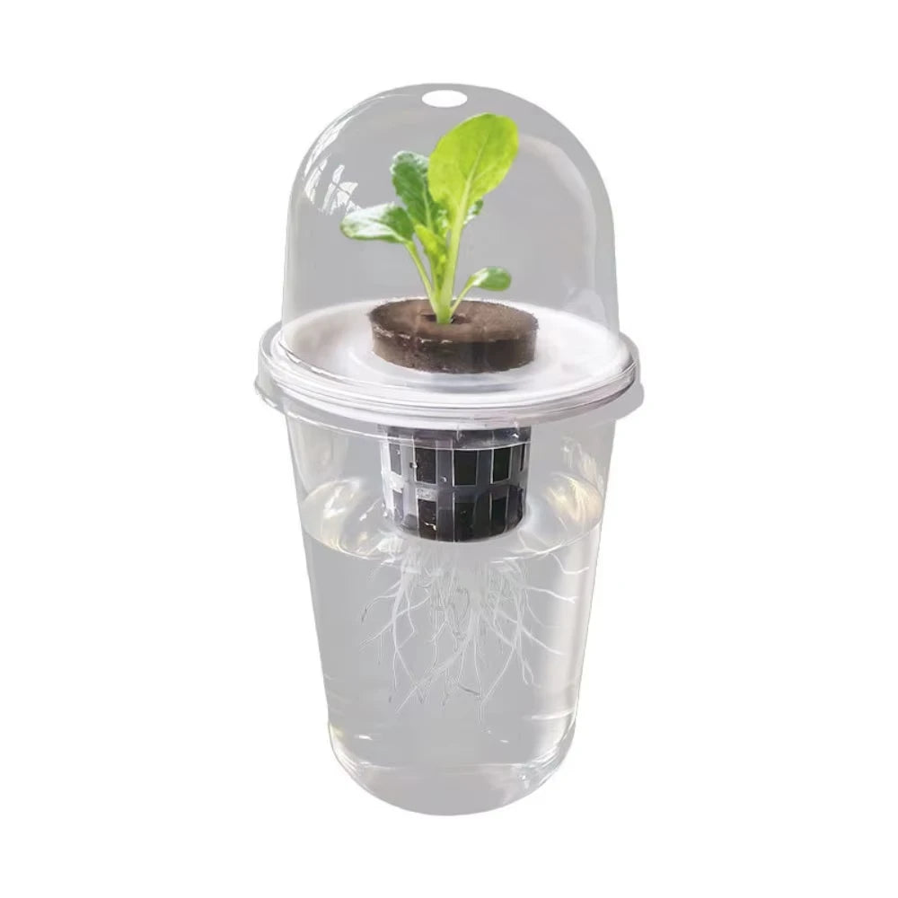 Plastic Material Hydroponic Seed Planter Pots Reusable Durable Seedling Baskets Transparent Root View Cups Succulents Growing