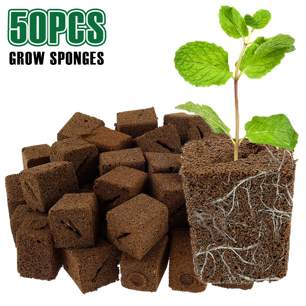 50Pcs Grow Sponges Hydroponic Starter Plugs Gardening Seed Starter Sponges Slant Incision Sowing and Cutting Substrate Block