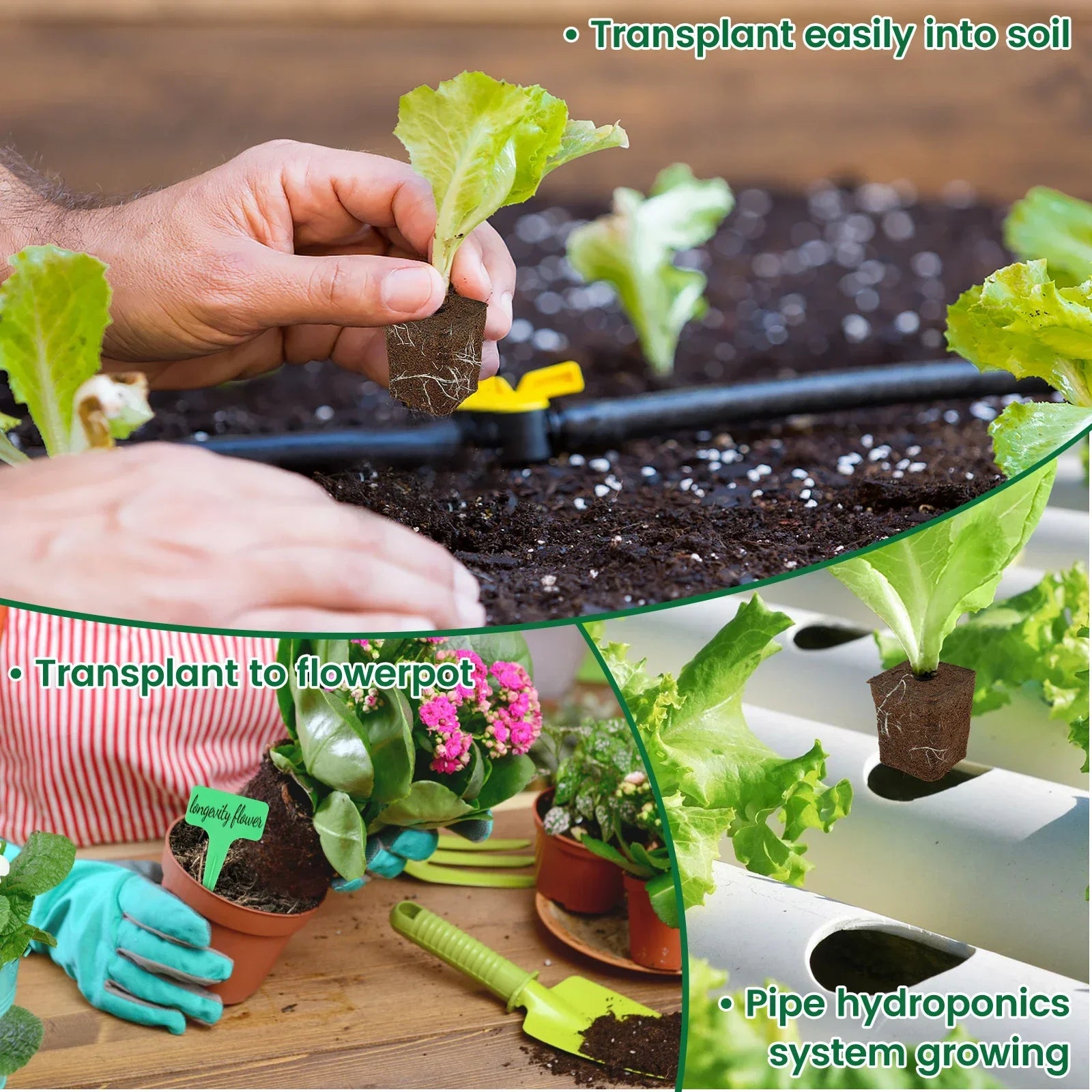 50Pcs Seed Starter Sponges Hydroponic Seeding Pods Replacement Root Growth Sponges Blocks Plug Pods Indoor Garden System