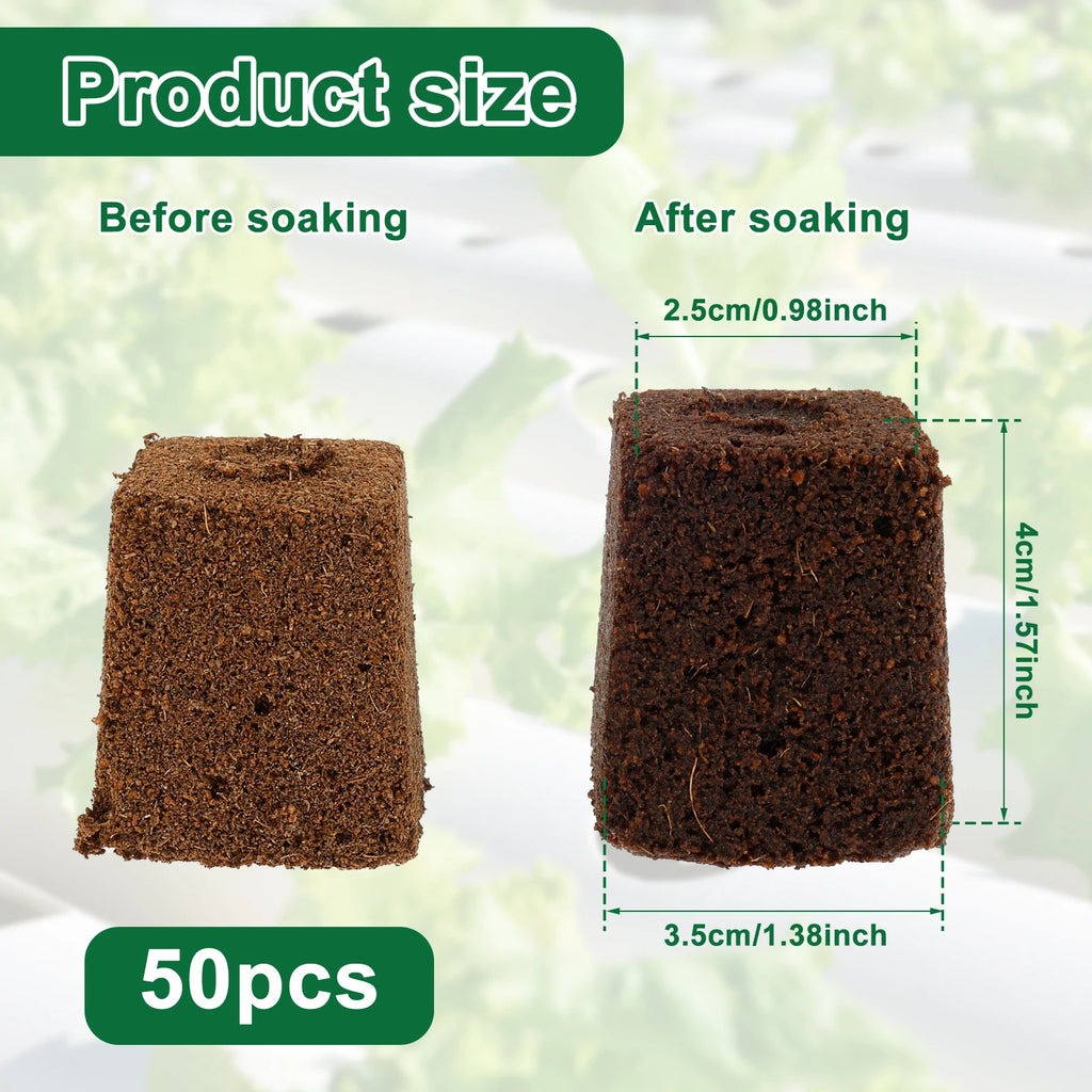 50Pcs Grow Sponges Hydroponic Starter Plugs Gardening Seed Starter Sponges Slant Incision Sowing and Cutting Substrate Block