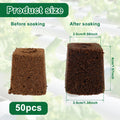 50Pcs Grow Sponges Hydroponic Starter Plugs Gardening Seed Starter Sponges Slant Incision Sowing and Cutting Substrate Block