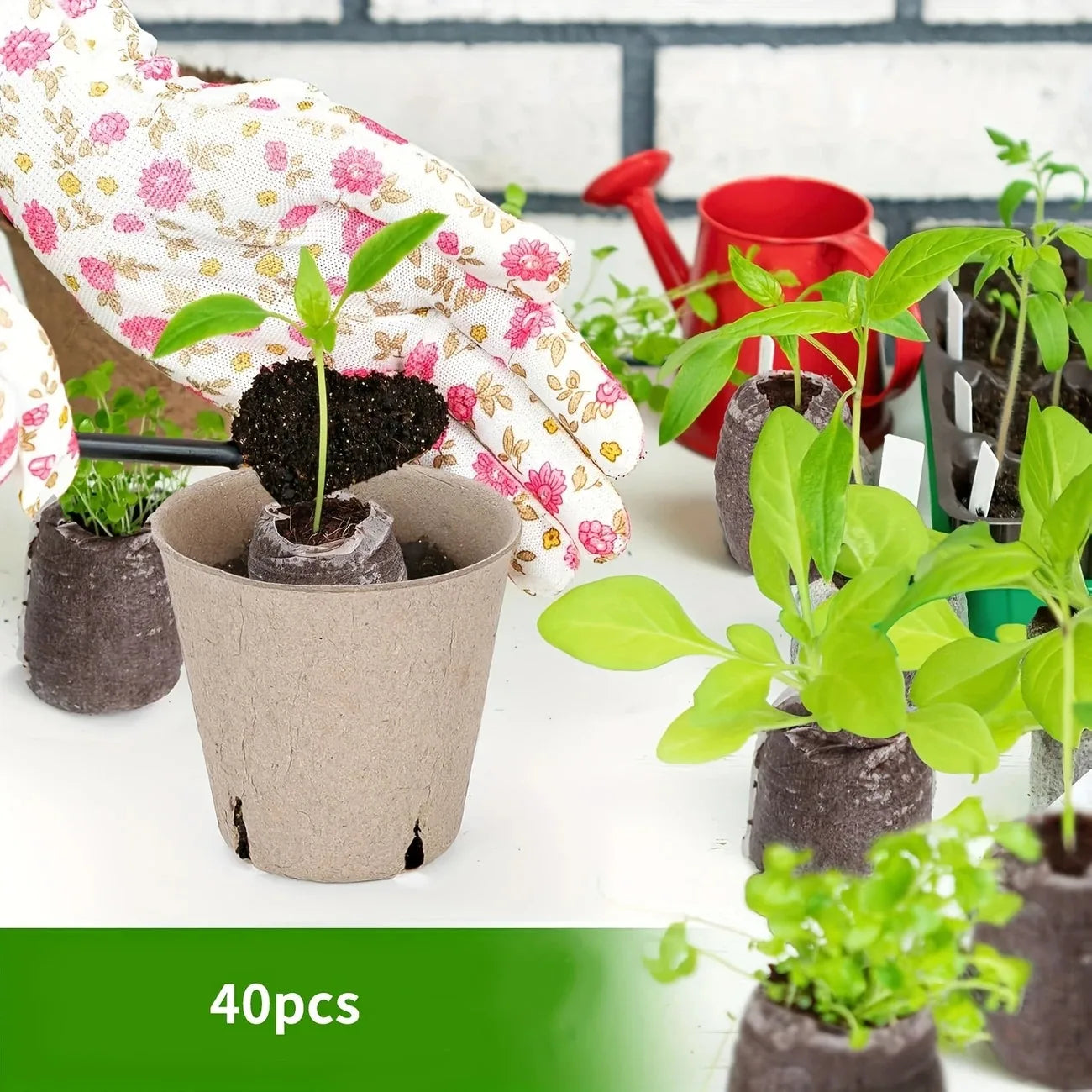 40pcs Seed Starter Pods Coir Pellets 30mm For Seedlings, Garden Plant Seed Starter Kit For Vegetable, Flower, Bonsai Tree