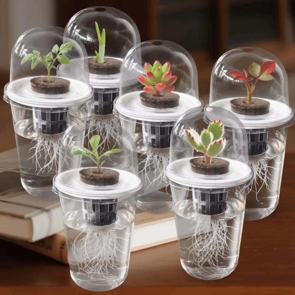Plastic Material Hydroponic Seed Planter Pots Reusable Durable Seedling Baskets Transparent Root View Cups Succulents Growing