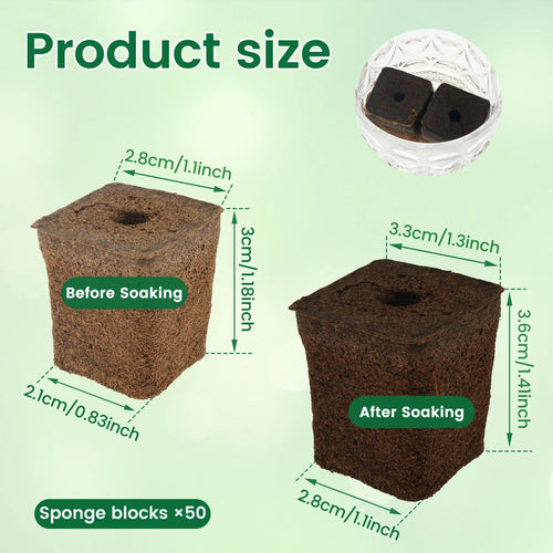 50Pcs Seed Starter Sponges Hydroponic Seeding Pods Replacement Root Growth Sponges Blocks Plug Pods Indoor Garden System