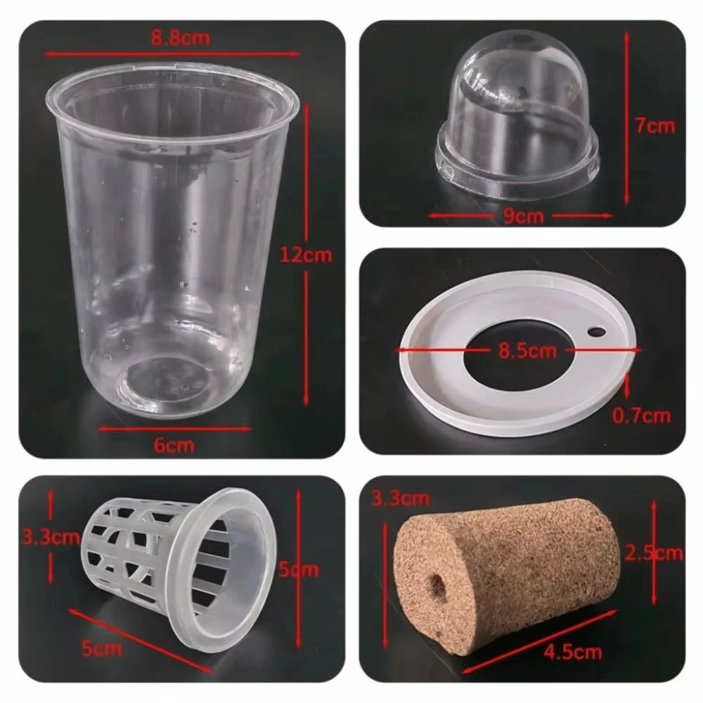 Plastic Material Hydroponic Seed Planter Pots Reusable Durable Seedling Baskets Transparent Root View Cups Succulents Growing