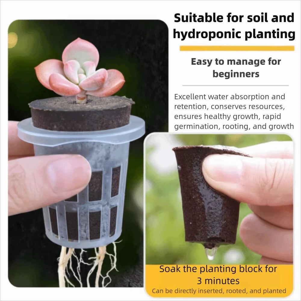Plastic Material Hydroponic Seed Planter Pots Reusable Durable Seedling Baskets Transparent Root View Cups Succulents Growing