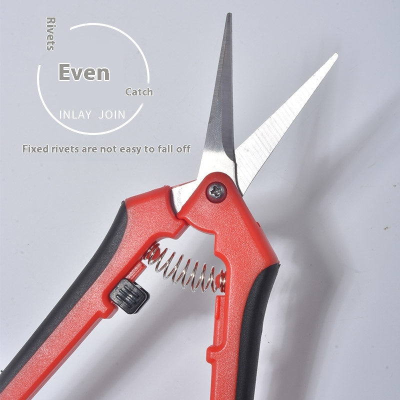 Stainless Steel Pointed Pruning snips