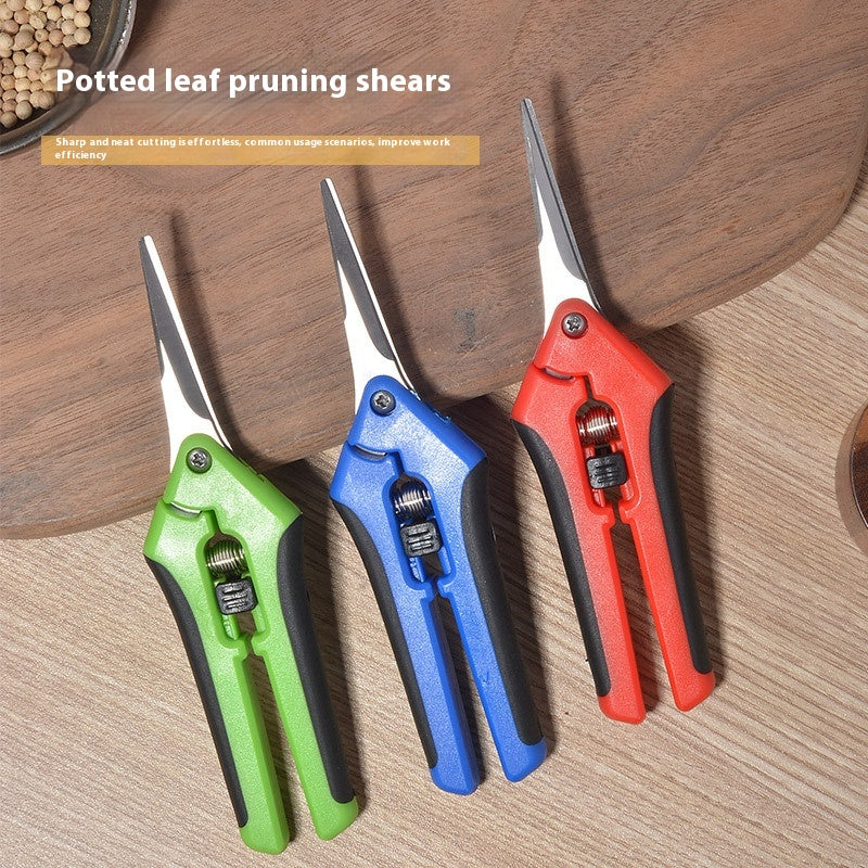 Stainless Steel Pointed Pruning snips
